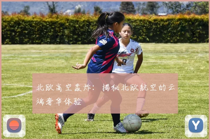 北欧高空轰炸：揭秘北欧航空的云端奢华体验